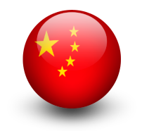 Established Silkron's subsidiary in China